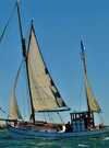 Boreale, les voiles oceane