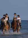 Erdeven Equitation ERDEVEN Morbihan Bretagne Sud