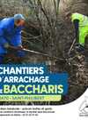 affiche chantier baccharis