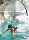WATER BALL ECRAN TV33 WATER BALL ECRAN TV33