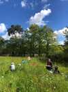 Stage "L'invisible rendu visible" Peindre et dessiner en nature
