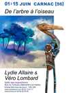 De l'arbre à l'oiseau