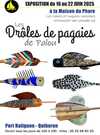 25.06.16 Droles de pagaies 25.06.16 Droles de pagaies