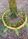 photo land-art - incroyables chemins 2