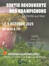 Sortie découverte des champignons