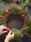 8.CouronneVegetaleNoël