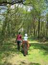 IMG-20210424-WA0005