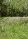 Jardin de la garenne 