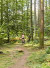 cycliste-sentier-foret-camors_1224x816