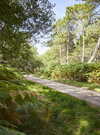 sentier-foret-erdeven_792x528 sentier-foret-erdeven_792x528