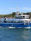 VEDETTES DU GOLFE