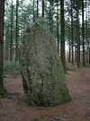 Menhir Vras Camors Morbihan Bretagne-sud