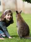 Parc de Branféré - Nourrissage wallabies - Morbihan Bretagne Sud