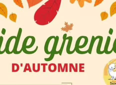 Vide-grenier d'Automne à Pluneret