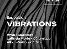 VIBRATIONS - 4