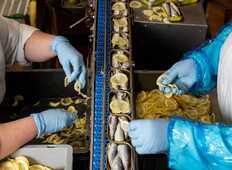 La belle-iloise-Quiberon-Morbihan-Bretagne sud