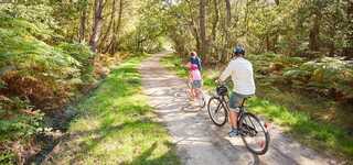 Alquiler de bicicletas