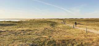 El Grand Site de France: las dunas salvajes