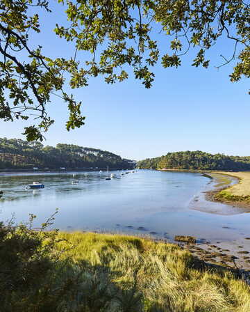 Rivière d'Auray