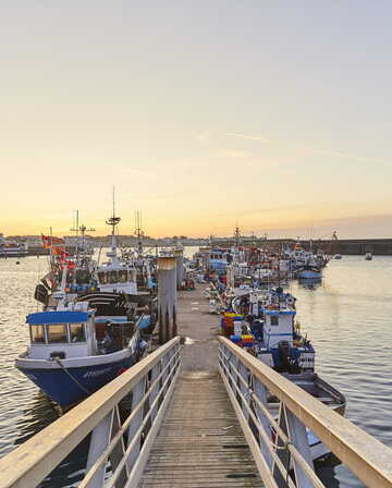 ponton-port-peche-quiberon_1656x1104.jpg