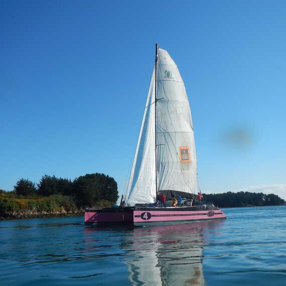 Activité de loisirs en Baie de Quiberon, Départs de Port-Haliguen à Quiberon et de Port-Blanc à Baden avec le Caseneuve Maxi Catamaran