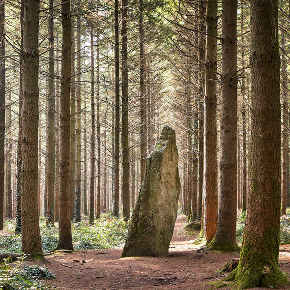 Camors Menhir de l'etoile