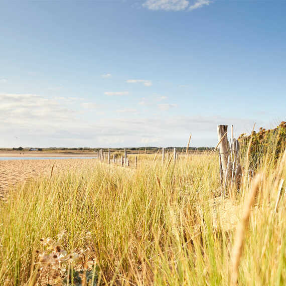 Plage Baie de Quiberon