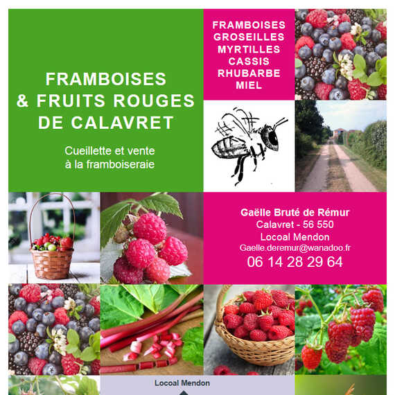 Culture raisonnée en plein champ de Framboises et fruits rouges de Calavret à Locoal Mendon