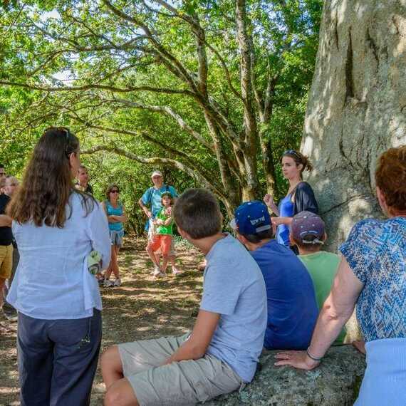 Visite guidée des mégalithes d'Erdeven dans la Baie de Quiberon en Bretagne sud 