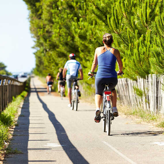 Vélo voie verte