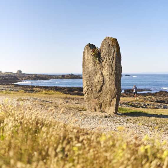 Menhir cote sauvage