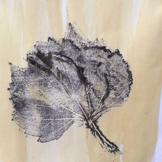 Robin des fleurs