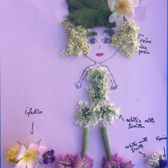 Robin des fleurs