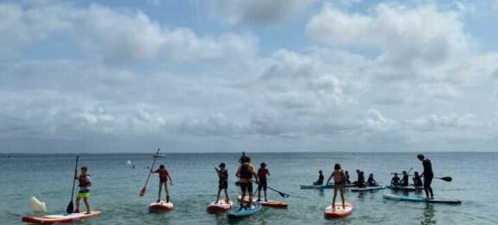 Club des Dauphins - Paddle Yoga et Activités de Mer Club des Dauphins - Paddle Yoga et Activités de Mer