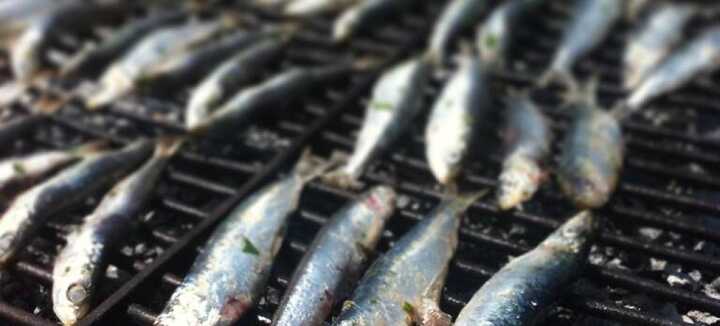 Fête de la sardine Fête de la sardine