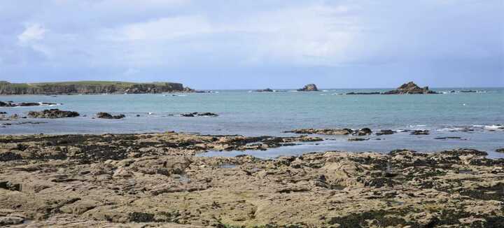 Descubrimiento de la playa de Foso Descubrimiento de la playa de Foso