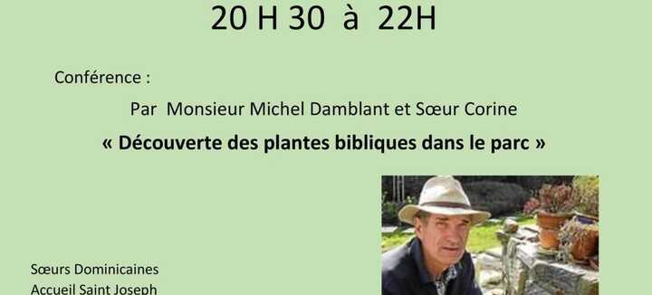 Découverte des plantes bibliques dans le parc