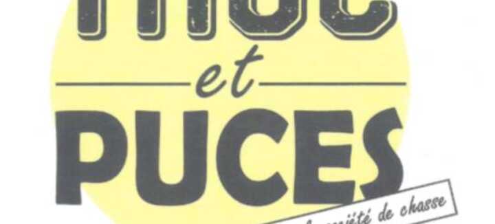 Troc et puces Troc et puces
