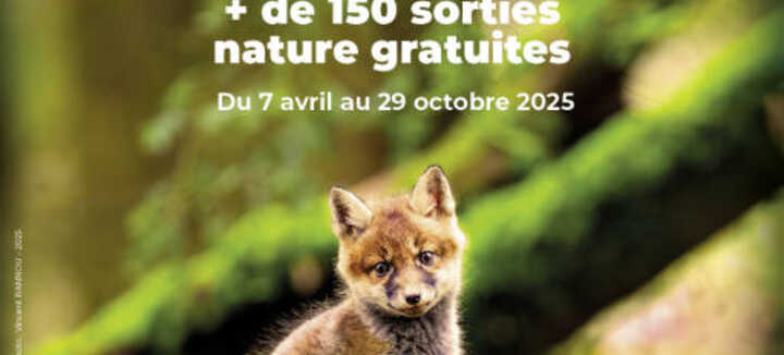 Nuit de l’engoulevent Nuit de l’engoulevent