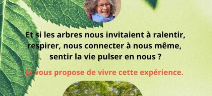 Par la grâce des arbres Par la grâce des arbres