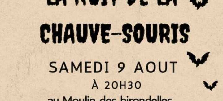 La nuit de la chauve-souris La nuit de la chauve-souris