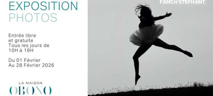 Exposition Fanch Stéphant à La Maison OBONO