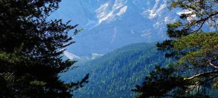 Conférence - La Nature est-elle bien faite ? Conférence - La Nature est-elle bien faite ?