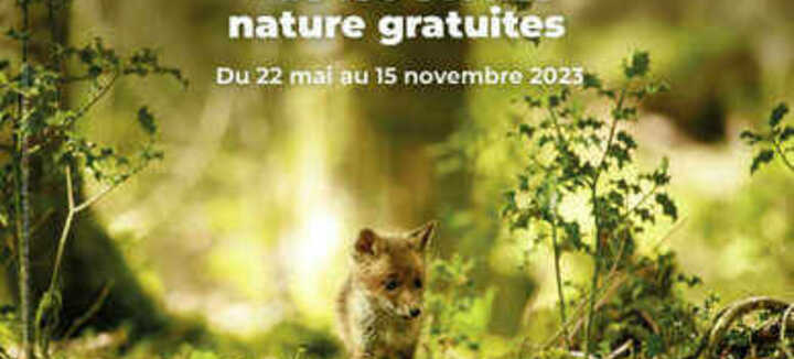 Visita a la naturaleza "Las aves invernantes de la Roche Sèche". Visita a la naturaleza "Las aves invernantes de la Roche Sèche".