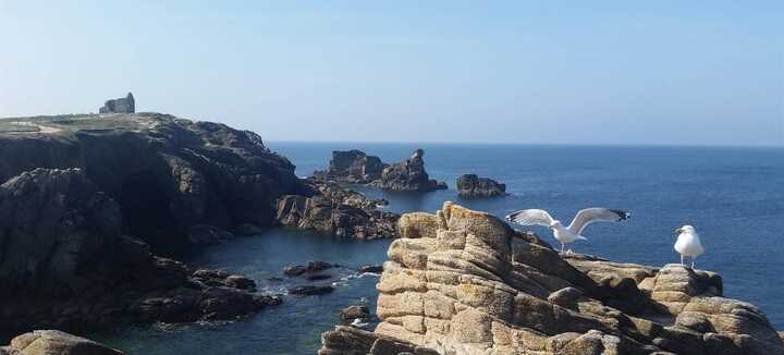 Sur la piste des Korrigans : balade contée Cote Sauvage