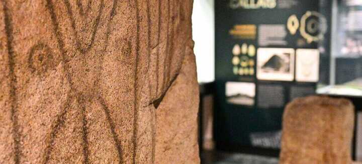 ENQUETE : Code Néolithique