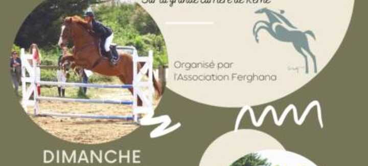 Concours de saut d'obstacles Concours de saut d'obstacles