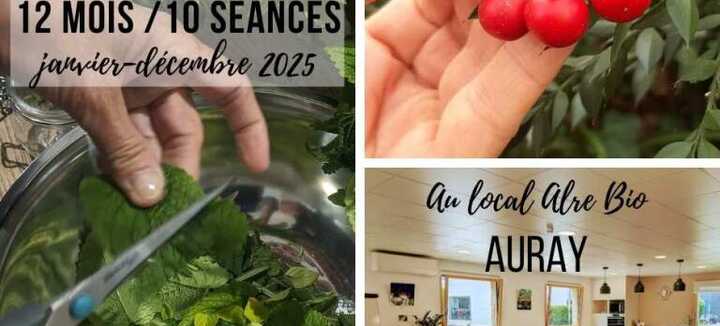 Formation phytothérapie 12 mois - 10 séances à Auray