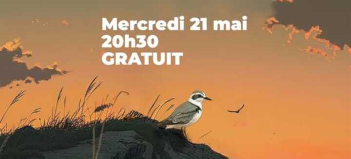 Nature en fête : balade nature au crépuscule Nature en fête : balade nature au crépuscule