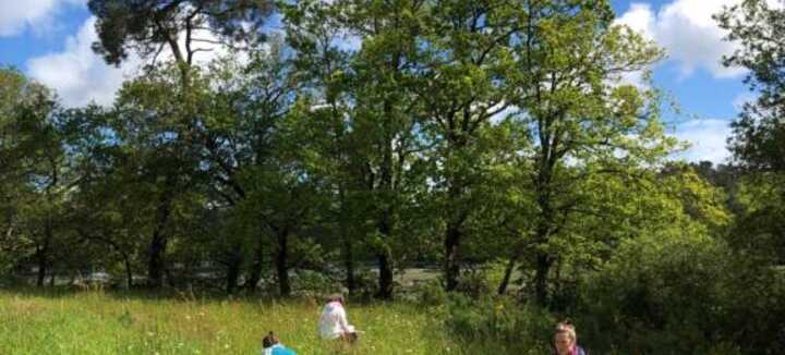 Stage "L'invisible rendu visible" Peindre et dessiner en nature